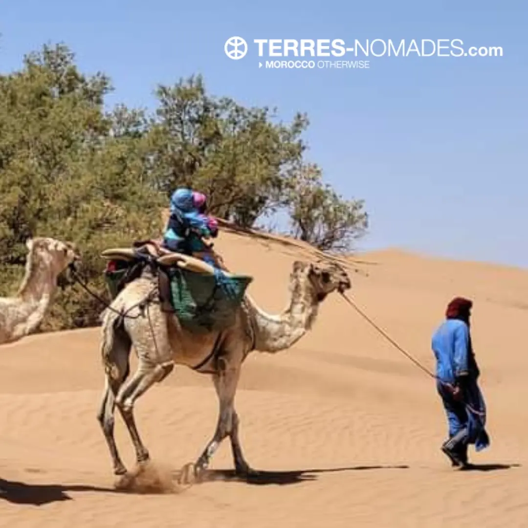 Imperial cities and southern Morocco