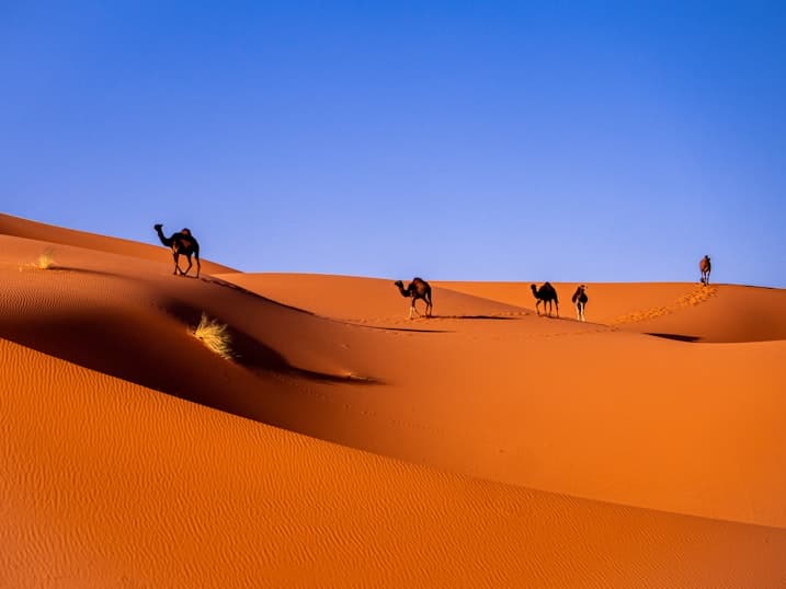 Trekking