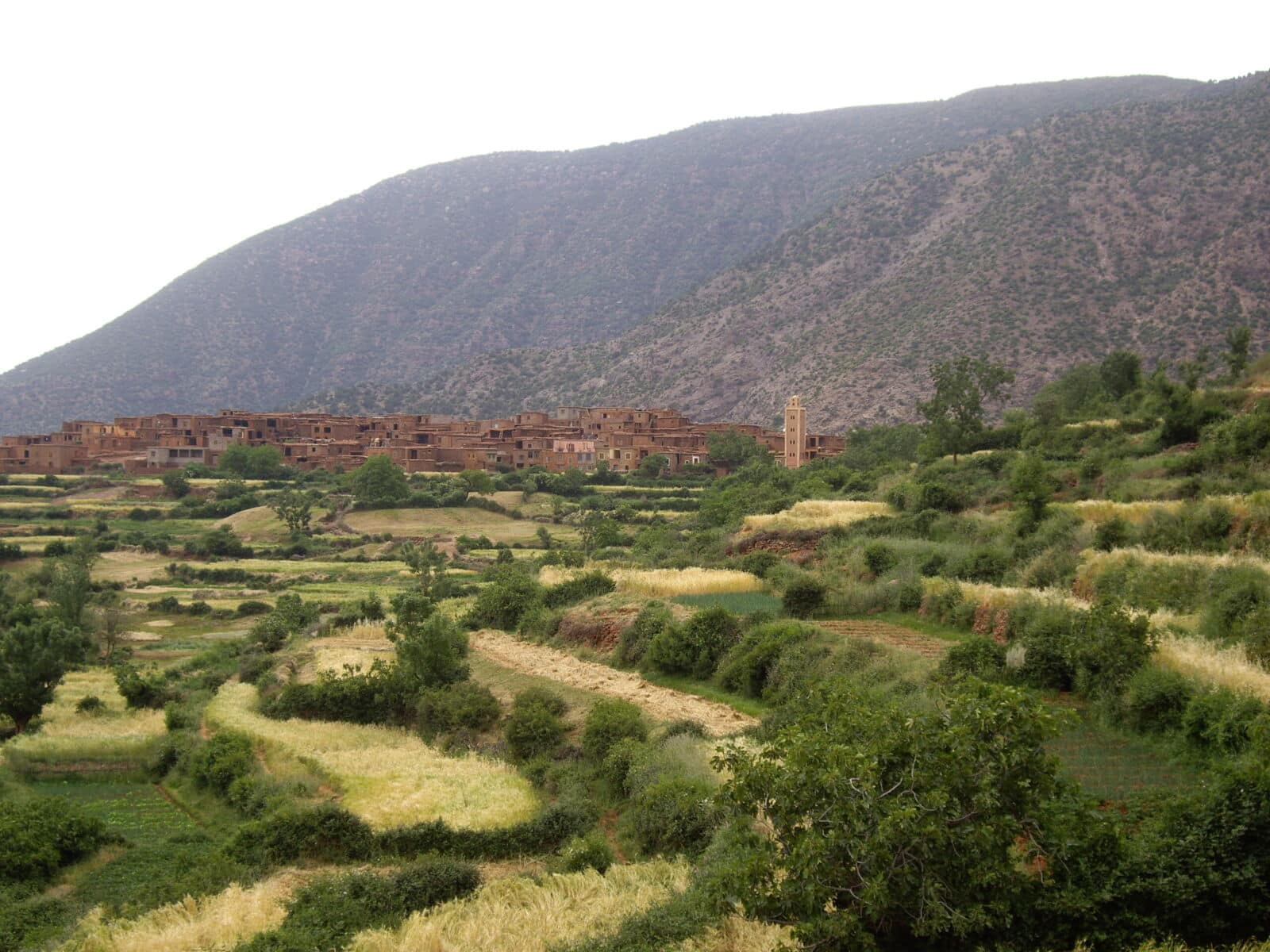 Excursion vallée du Draa