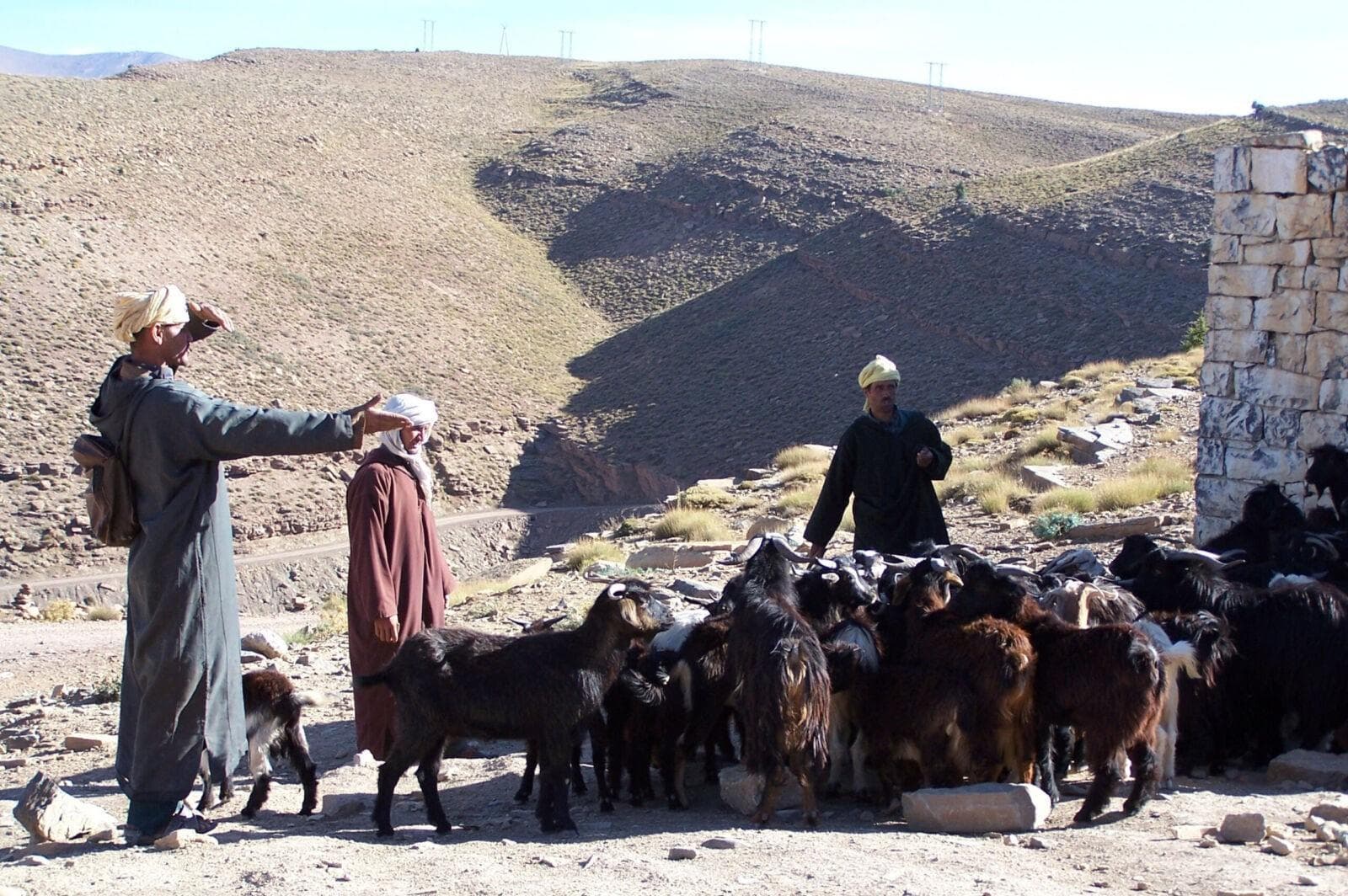 Rencontres en terres berbères