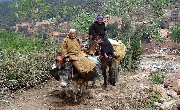 Sentiers berbères et villages du Toubkal en famille