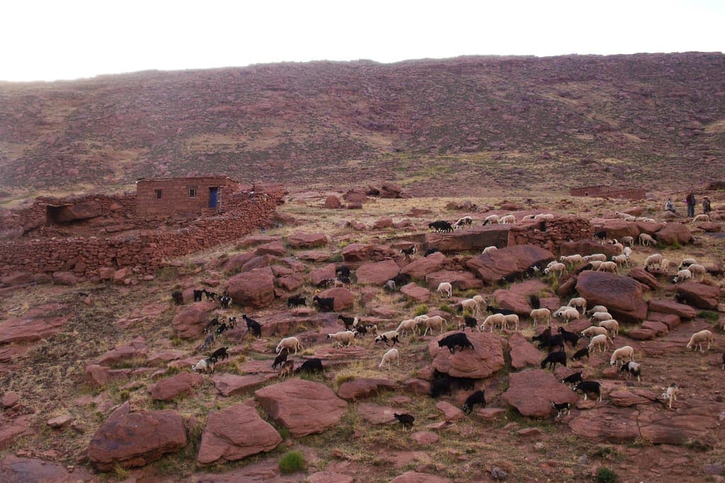 Plateau du Yagour et gravures rupestres du Haut Atlas